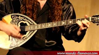 Bouzouki live improvisation [upl. by Neill602]