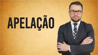 NOVO CPC  APELAÇÃO [upl. by Merrel716]