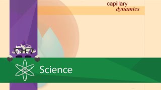 Capillary Dynamics [upl. by Eniagrom]