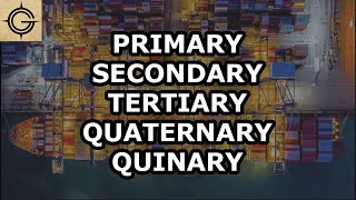 5 Economic Sectors  Primary Secondary Tertiary Quaternary amp Quinary [upl. by El]