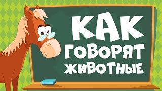 КАК ГОВОРЯТ ЖИВОТНЫЕ Звуки животных для детей  Учим животных для самых маленьких [upl. by Werdna146]