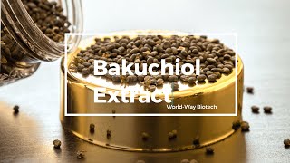 Bakuchiol Extract [upl. by Derrej]