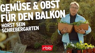 Gemüse und Obst auf dem Balkon anpflanzen  Horst sein Schrebergarten [upl. by Sender254]