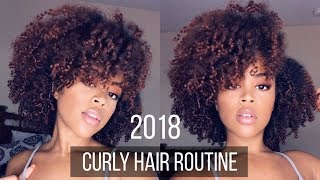 Curly Hair Routine  Healthy Defined 3c4a Curls [upl. by Garges448]