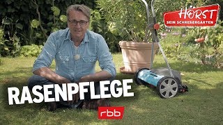 6 Tipps zur Rasenpflege im Herbst  Horst sein Schrebergarten [upl. by Pare236]