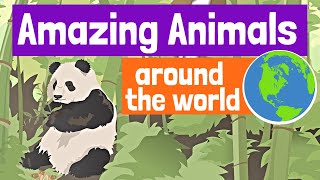 Amazing Animals Around the World for Kids [upl. by Ibloc]