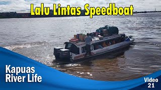 Lalu Lintas Speedboat Berkecepatan Tinggi  Kapuas River Life [upl. by Anahsak]