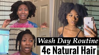 Easy Wash Day Routine for 4c NATURAL HAIR start to finish [upl. by Nnazil]