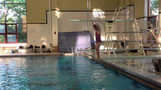 Teach a Flip for Springboard Diving [upl. by Kenweigh]