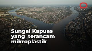 Sungai kapuas terancam mikroplastik 💀 [upl. by Hebert]