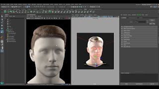 Maya Xgen How To make Realistic hair in 3 steps only [upl. by Arat77]