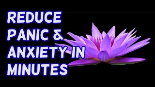 Guided Meditation for Panic amp Anxiety [upl. by Anitsugua]