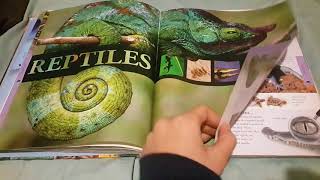 animals a childrens encyclopedia [upl. by Eelarac]