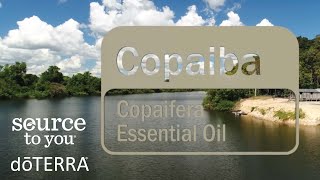 doTERRA Copaiba Essential Oil [upl. by Tomlinson397]