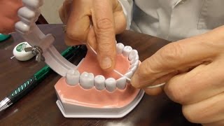 How to Take Care of Your Teeth [upl. by Collete]