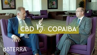 CBD Oil vs Copaiba Oil – Dr Hill and Dr O Discuss How CBD and Copaiba Work [upl. by Tollman]