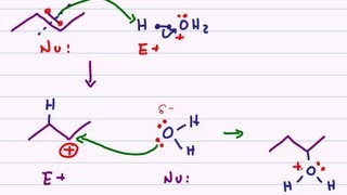 Hydration of Alkenes  Acid Catalyzed Reaction Mechanism [upl. by Mccreary]