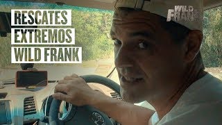 Los rescates de animales más tensos de Wild Frank  Wild Frank [upl. by Berkin]