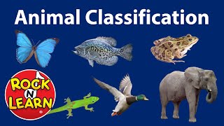 Animal Classification for Kids [upl. by Daren979]