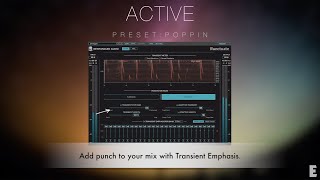 Newfangled Audio Punctuate  Transient Modulator Presets Demo [upl. by Nata]