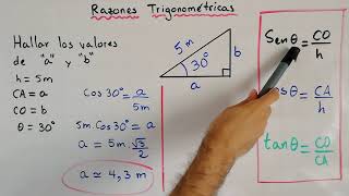 Ejercicio de Razones Trigonométricas  Trigonometría [upl. by Chandless55]