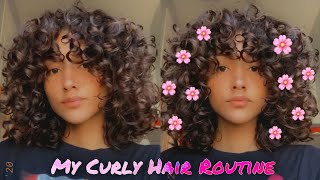 MY CURLY HAIR ROUTINE 2020  2C 3A3B CURLS  Lisaslife [upl. by Anibla]