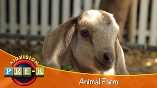 Animal Farm  Virtual Field Trip  KidVision PreK [upl. by Viv]