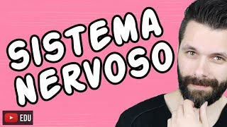 SISTEMA NERVOSO  FISIOLOGIA  Aula  Biologia com Samuel Cunha [upl. by Tnek]