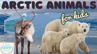 Arctic Animals For Kids Educational READ ALOUD for Children [upl. by Tremayne920]