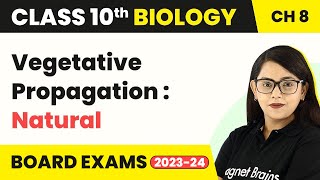 Class 10 Biology Chapter 8 Vegetative Propagation Natural How Do Organisms Reproduce [upl. by Barbour603]