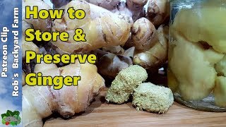 7 Ways to Store GINGER or Turmeric [upl. by Mauceri127]