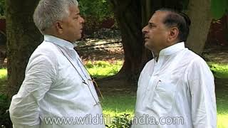 Mulayam Singh Yadav and Laloo Prasad Yadav come together [upl. by Enortna]