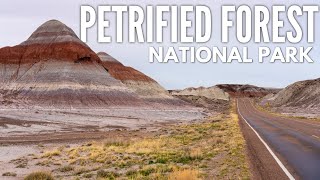 Petrified Forest National Park in Arizona A One Day Travel Guide [upl. by Beach]