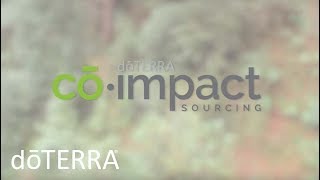 CoImpact Sourcing by doTERRA Provides the Best Essential Oils and Lifts Entire Communities [upl. by Engen]