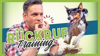 Rückruftraining  Deinem Hund oder Welpen KOMM beibringen [upl. by Llyrrad478]