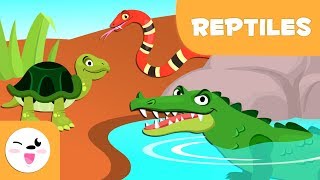 Reptiles for kids  Vertebrate animals  Natural Science For Kids [upl. by Neirbo941]