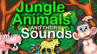 Jungle Animals and their Sounds  learning for kids [upl. by Noruq]