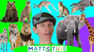 Wild Animals  Matts Tube 1  Learning Wild and Zoo Animals for Kids [upl. by Krasnoff567]