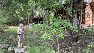 Who Doesnt Need a Fort Recreating the 18th Century Fortified Homestead  FRONTIER LIFE [upl. by Marc60]