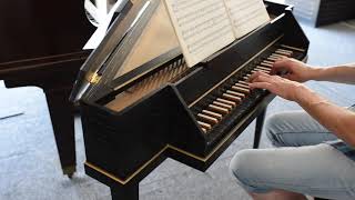 La Sarabande de Haendel sur clavecin épinette JC Neupert par JYPB [upl. by Bendix]