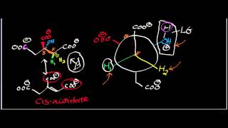 Biochemistry  Aconitase Mechanism Part 22 [upl. by Kiryt738]