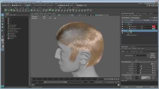 Create Maya hair  The basics [upl. by Alleira941]