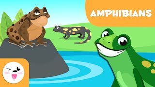 Amphibians for kids  Vertebrate animals  Natural Science For Kids [upl. by Mariska]