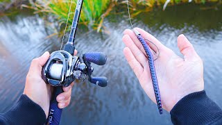 Catch 10x MORE Bass  TRY THIS Bass Fishing Tips [upl. by Tengdin]