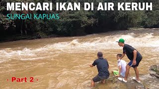 NEKAT ‼️ MENCARI IKAN DI SUNGAI KAPUAS SAAT AIR KERUH  KAPUAS HULU  Part 2 [upl. by Earal]