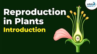 Introduction to Reproduction in Plants  Dont Memorise [upl. by Haimarej942]