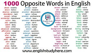 1000 Opposite Words in English  Antonym Words List  Common Opposites [upl. by Felton]