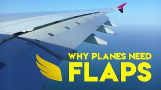 Why Do Planes Have Flaps  Fly Anatomy [upl. by Anilos]