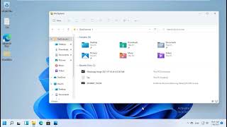 How To Show Hidden Files And Folder In Windows 11 [upl. by Raamaj]