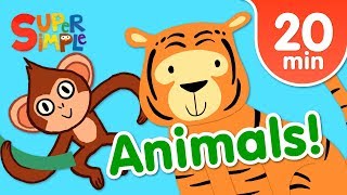 Our Favorite Animals Songs For Kids  Super Simple Songs [upl. by Noskcire]